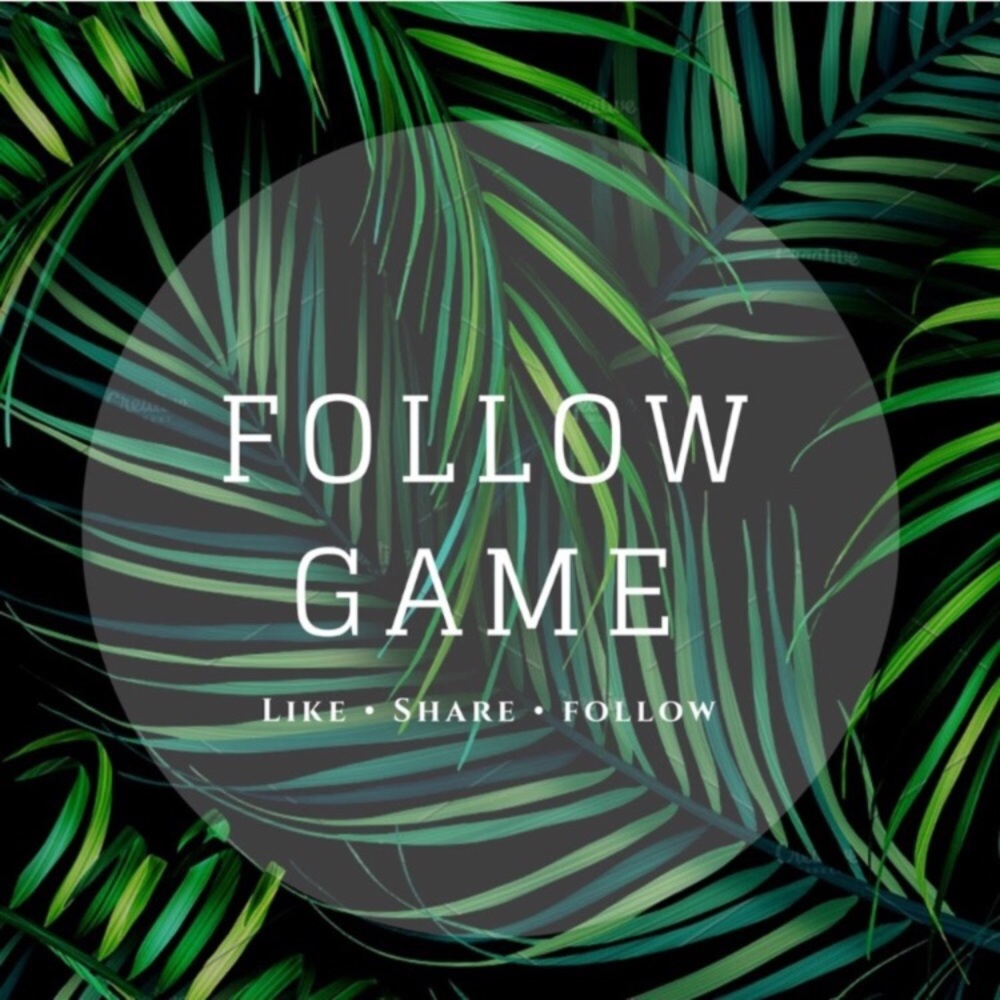 << Follow Game >> - Picture 4 of 5